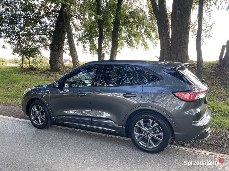 Ford Kuga mk3 22r ST Line 51 15 benzyna 150 Rok produkcji 2022 Kraków