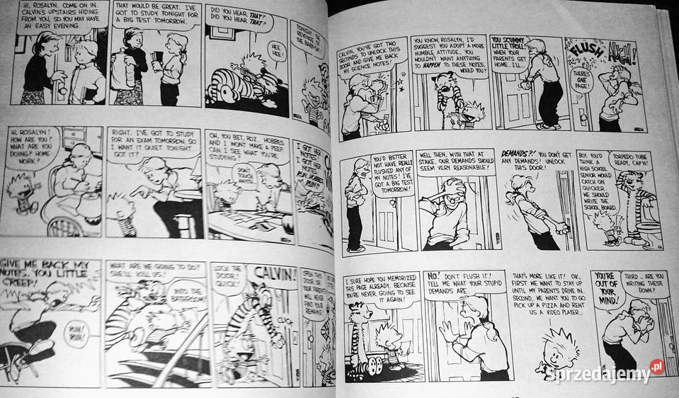 Calvin and Hobbes The Revenge of the BabySat lubelskie Chełm