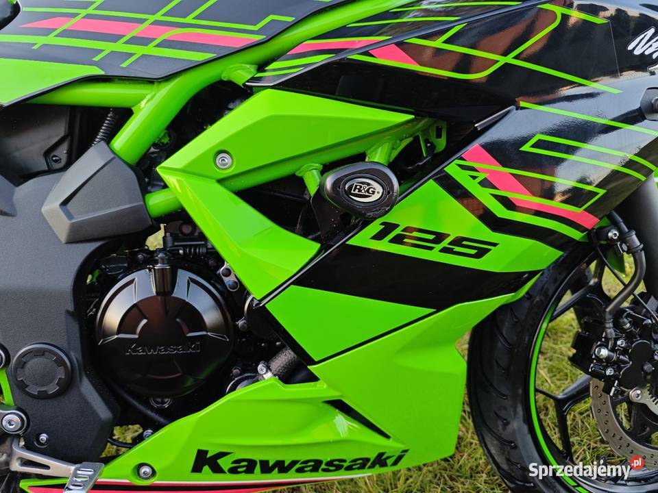 Kawasaki ninja 125 Staszów