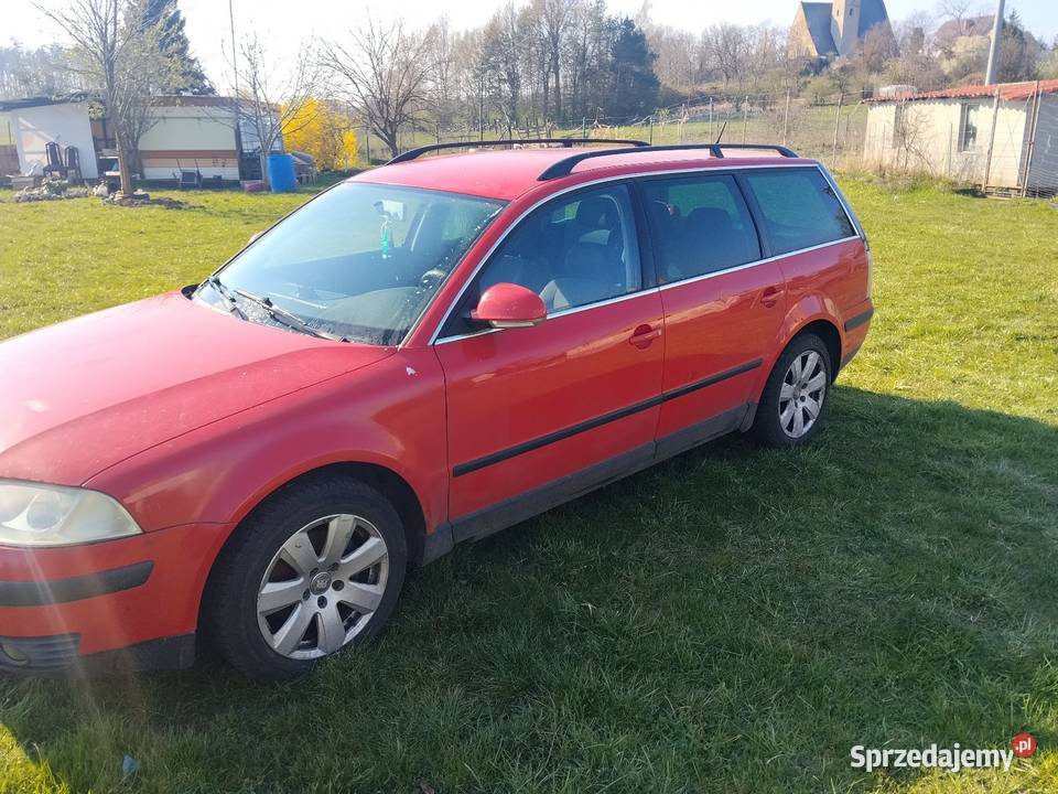Passat b5 Passat Kurów Wielki