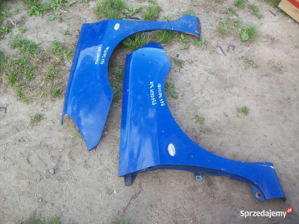 Peugeot 307 Blotnik przod przedni prawy lewy Mińsk Mazowiecki