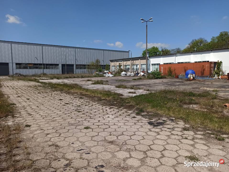 Syndyk wynajmie miejsce w hali wysokiego kujawsko-pomorskie Chełmża