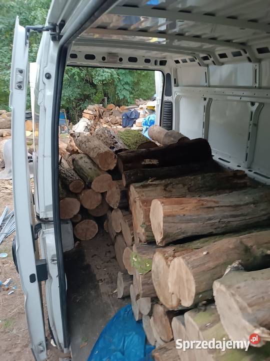 Drewno sezonowane 535197837 lubuskie Bojadła