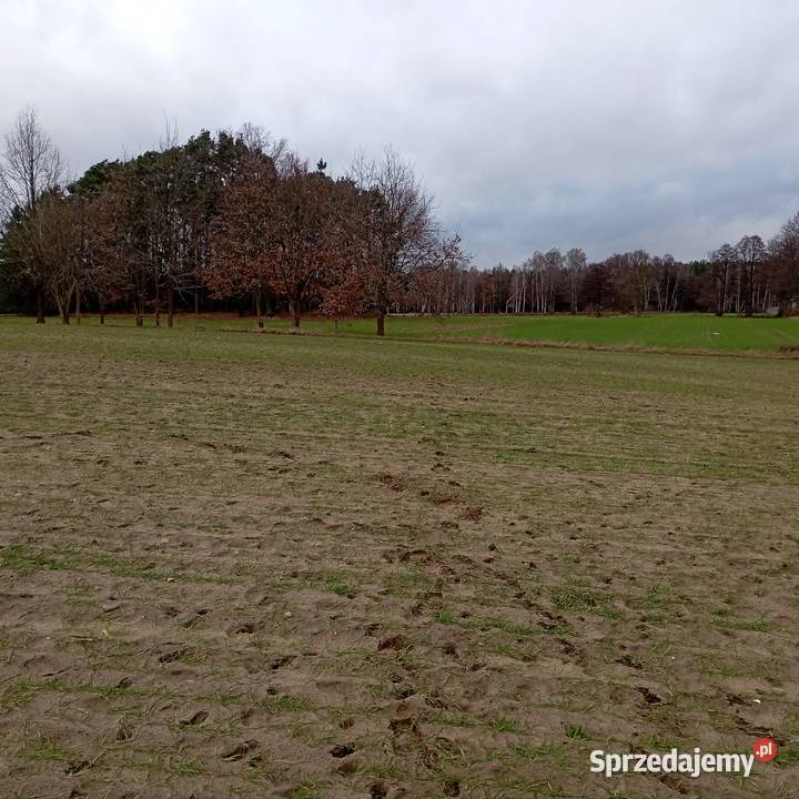 Wytomyśl Wypoczynkowa działka budowlana na 50m