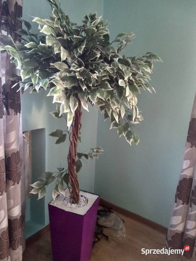 SZTUCZNY KWIAT Siedliska