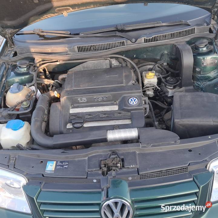 Volkswagen Bora Żary