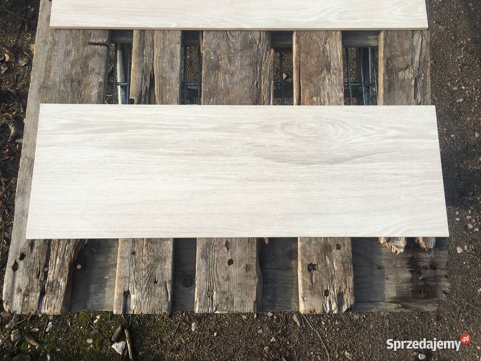 Glazura płytka ścienna elia crema 25x75 firmy Reguły