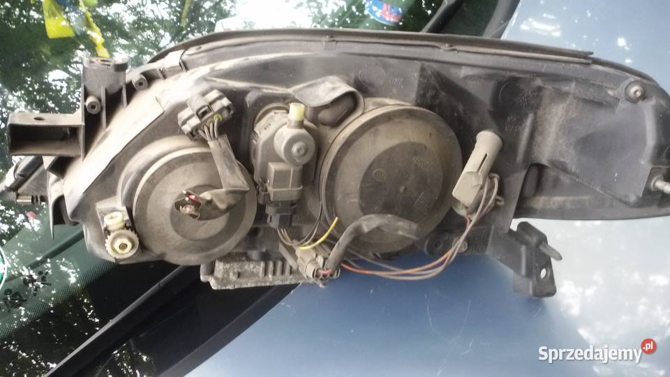Lampy przednie nissan primera p12 KSENON Elbląg