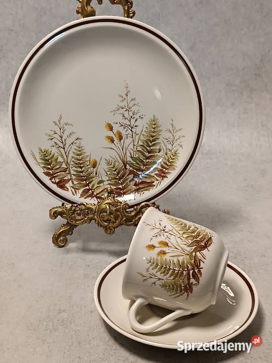 WINTERLING Filiżanka Rslau Paproć Bavaria Trio Dobrzany