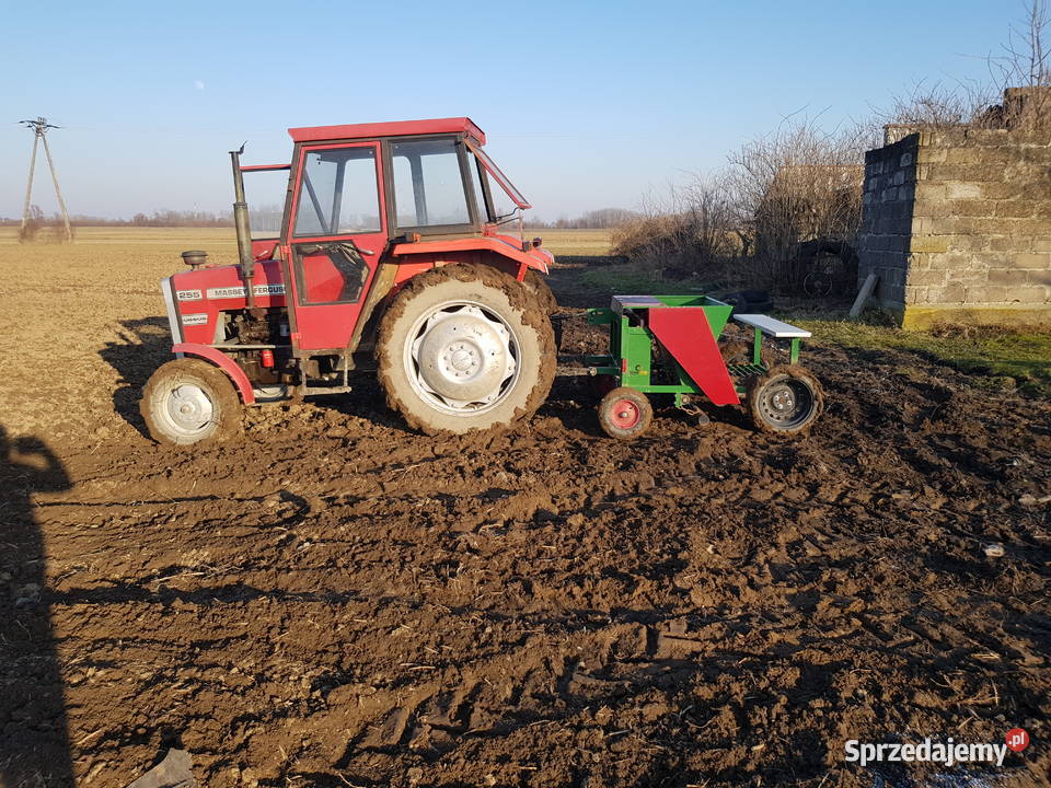 Sadzarka do bobu cebuli i czosnku Mielec