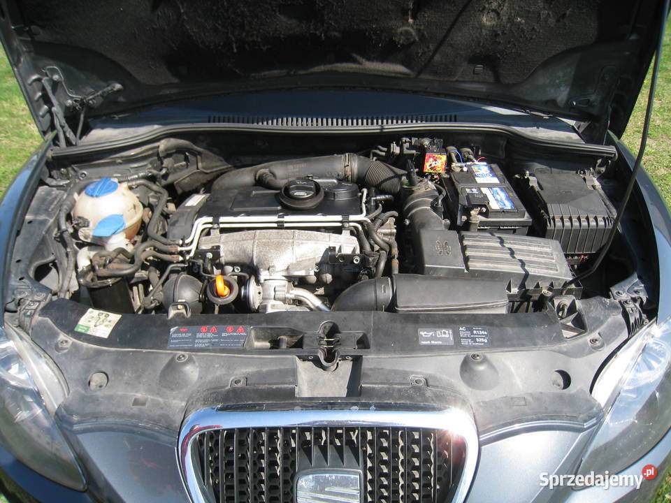 Seat Leon 2 Wola Lipieniecka Duża