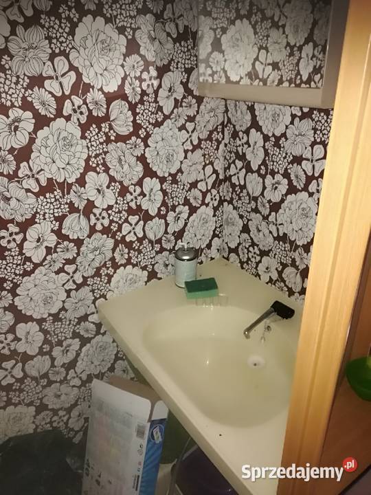 Przyczepa kempingowa Hobby Krosno Odrzańskie