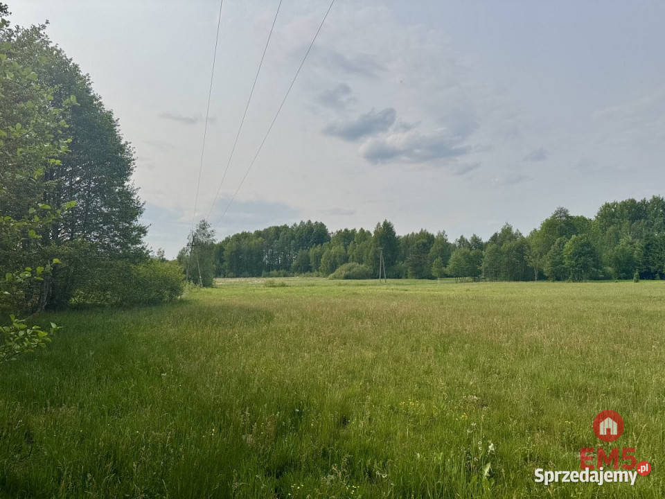 sprzedaży gruntu 2900m2 Kosmaty Borek podlaskie