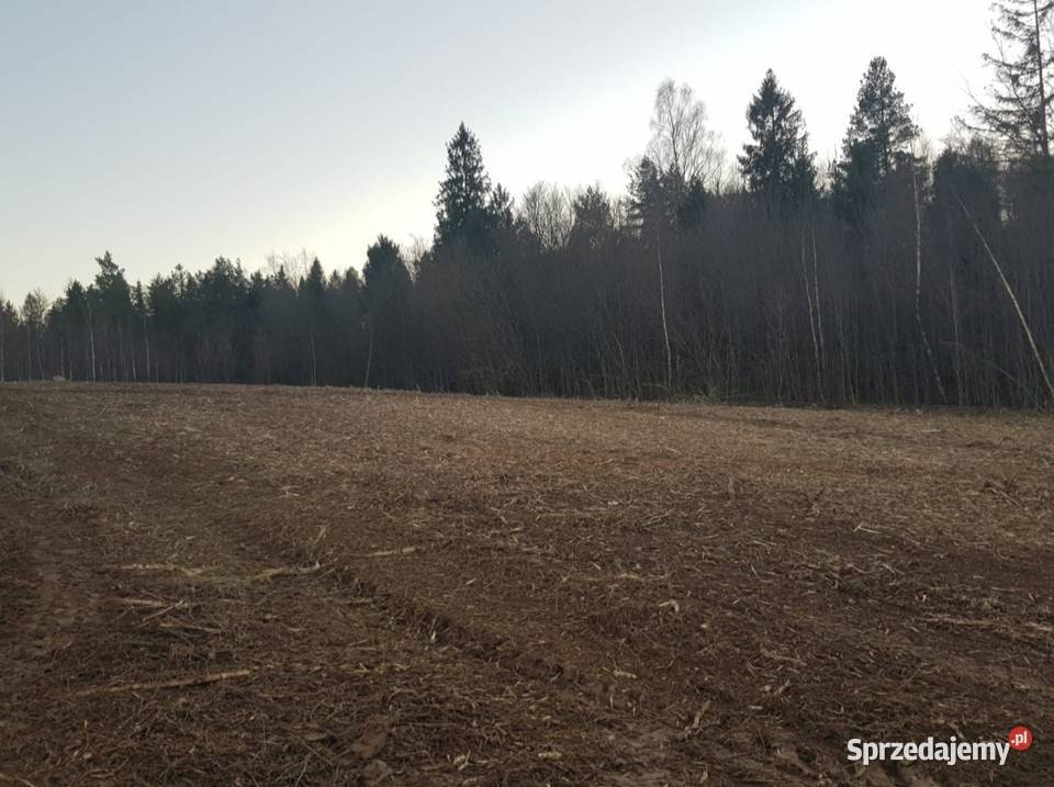 Mulczerowanie Bytów prace ogrodowe