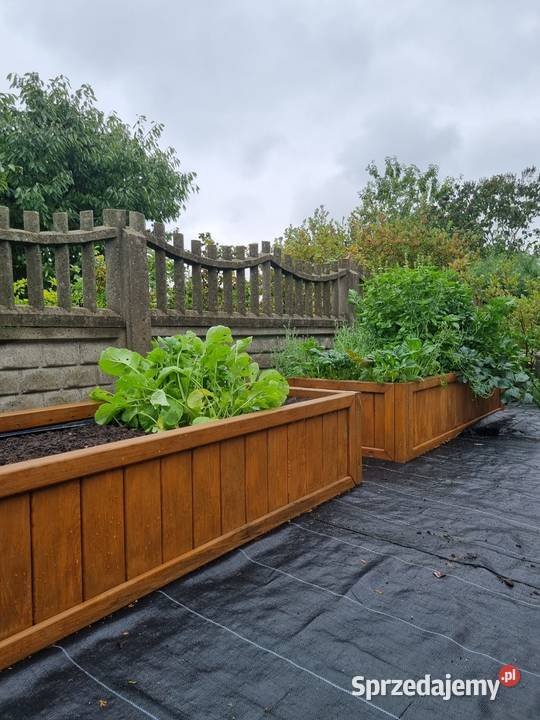 Warzywnik drewniany skrzynia ogrodowa zielnik Kalety