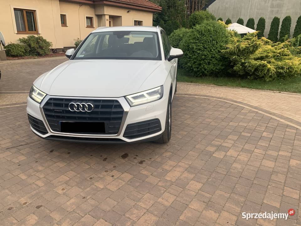 Polski salon navi kamera skóra śląskie Myszków