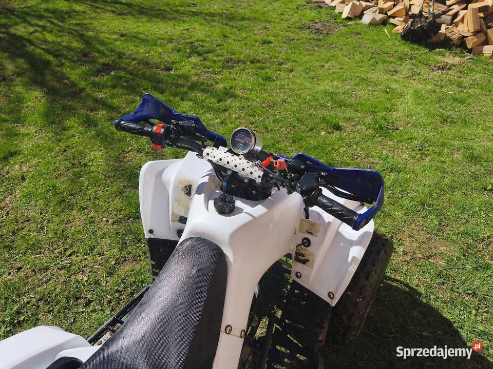 Quad 125 stan Mniów