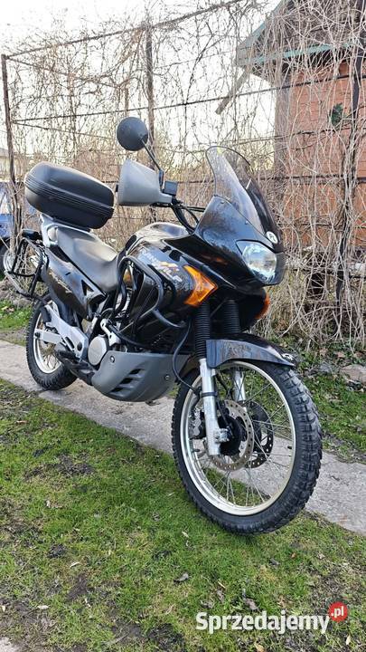 Honda XL 650 Transalp zadbana realny przebieg Krasnystaw