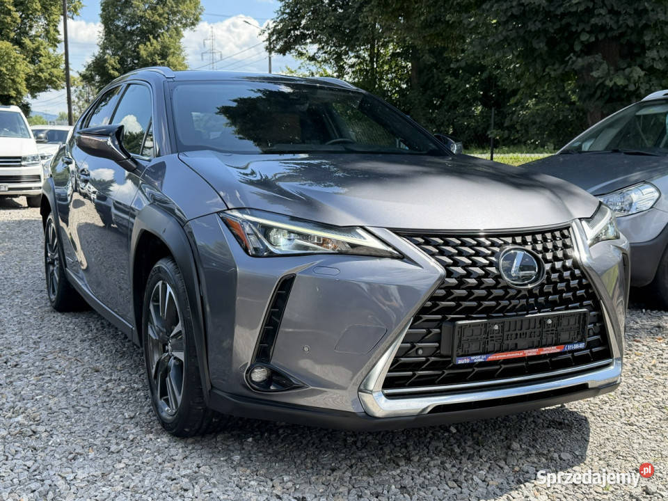 Lexus UX 250 Hybrid Skóra Ful LED Premium nieuszkodzony śląskie Łodygowice