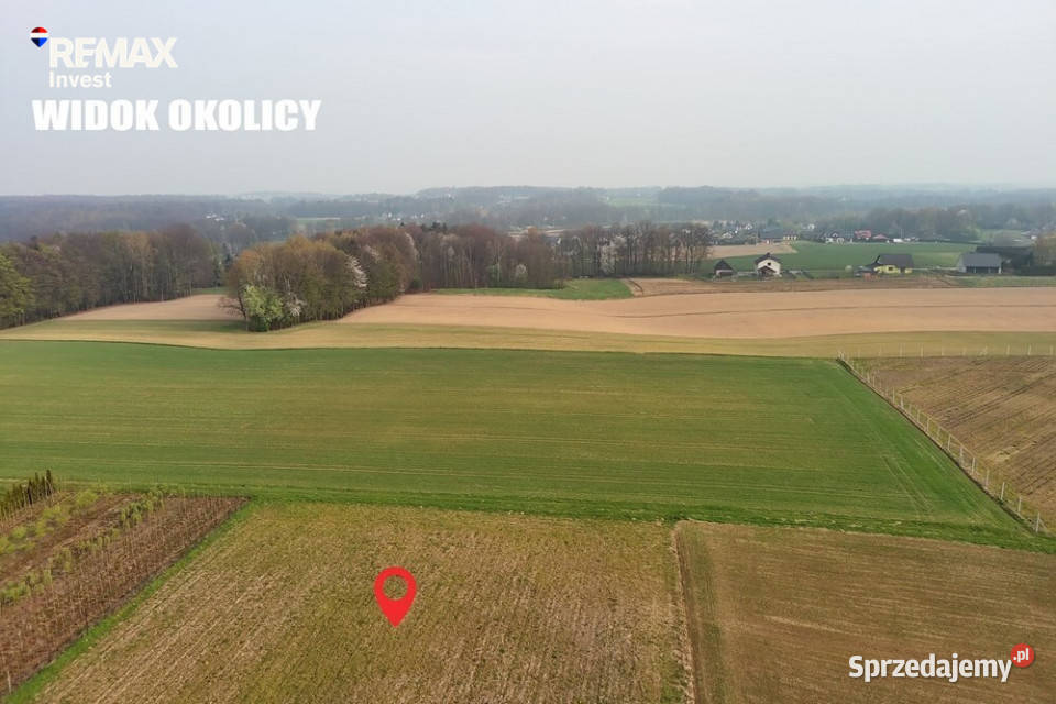 działka budowlanaPisarzowice Pisarzowice