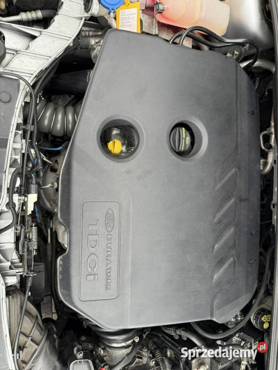 Ford Focus zadbany oryginalny przebieg 100 diesel