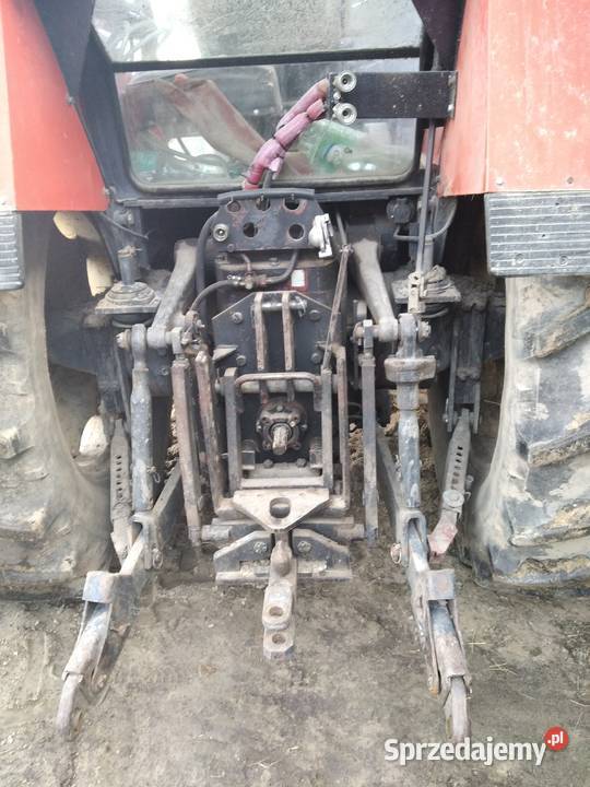 ursus mazowieckie Odechów