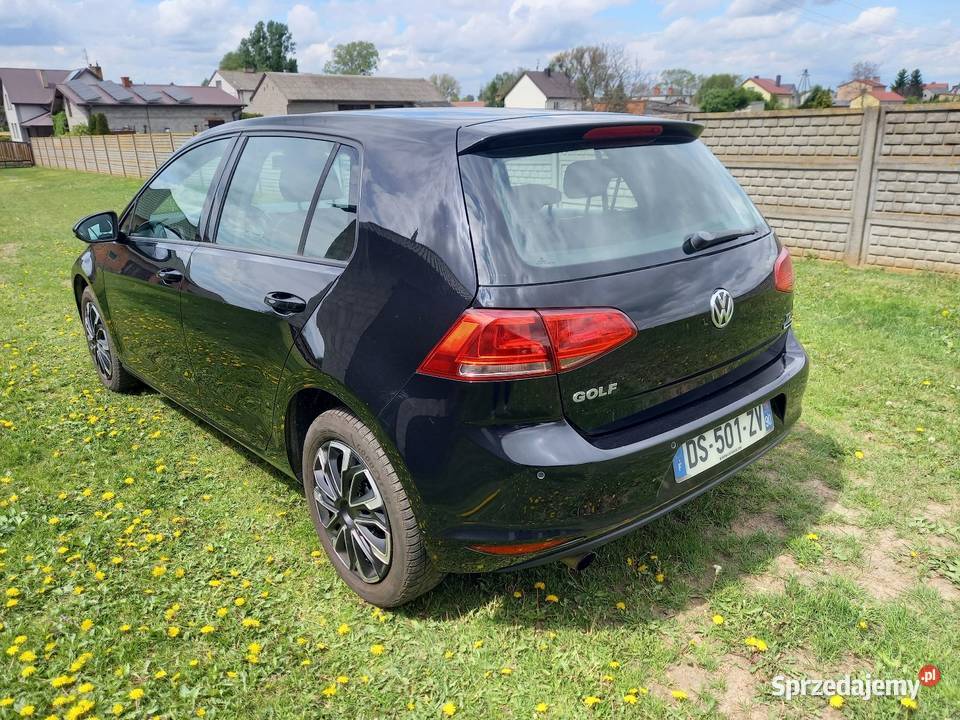 Volkswagen golf VII 16 TDI 2015 Turek