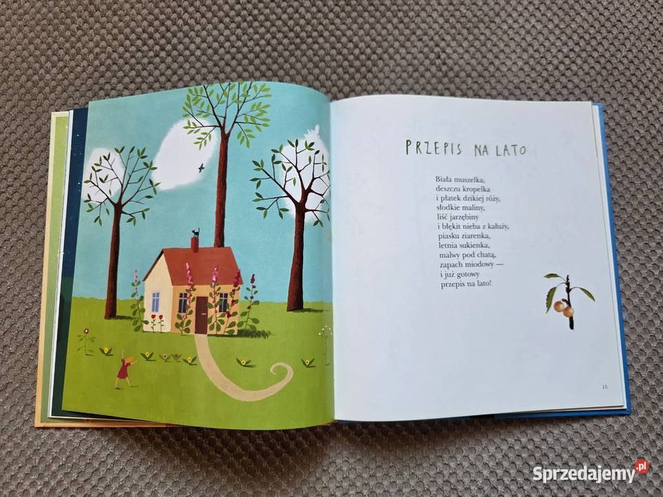 Zielony Żółty Rudy Brązowy Małgorzata ISBN 9788372781017