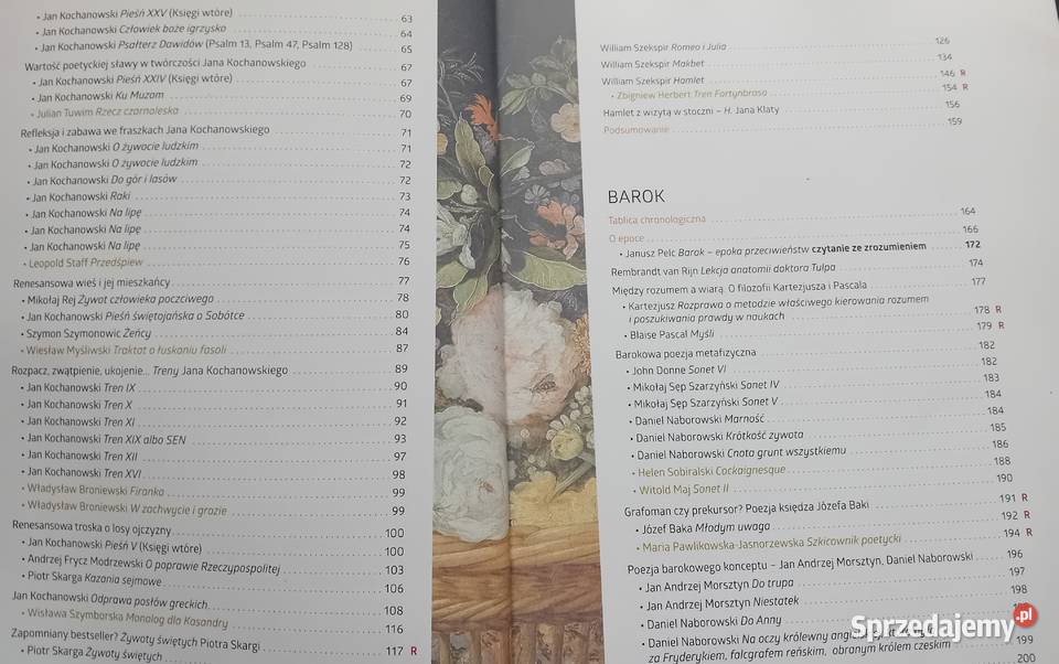 Język polski 1 Sztuka wyrazu Cz2 renesans barok Koźminek