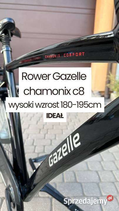 Rower Gazelle chamonix c8 wysoki wzrost 180195
