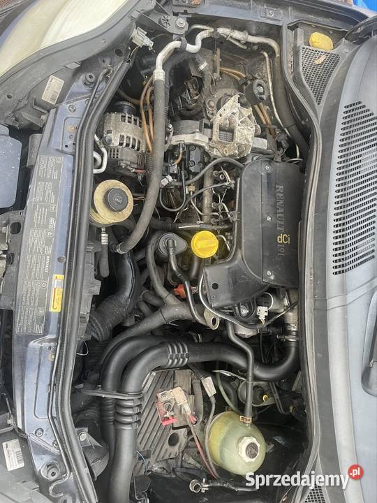 RENAULT MEGANE SCENIC 19 DCI Części Wałcz