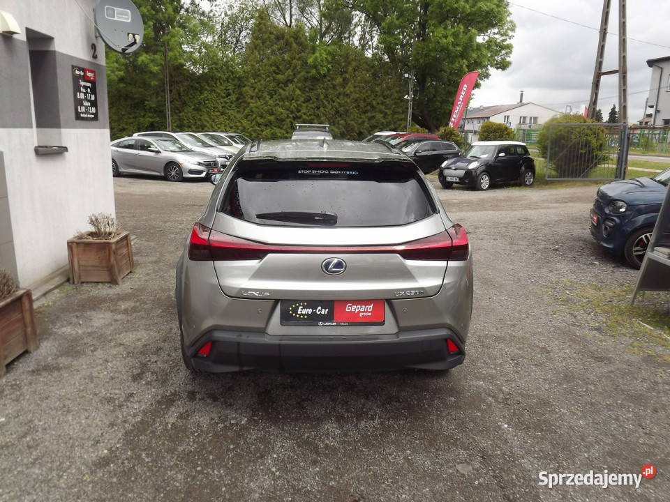 Lexus UX kamera cofania Janów Lubelski