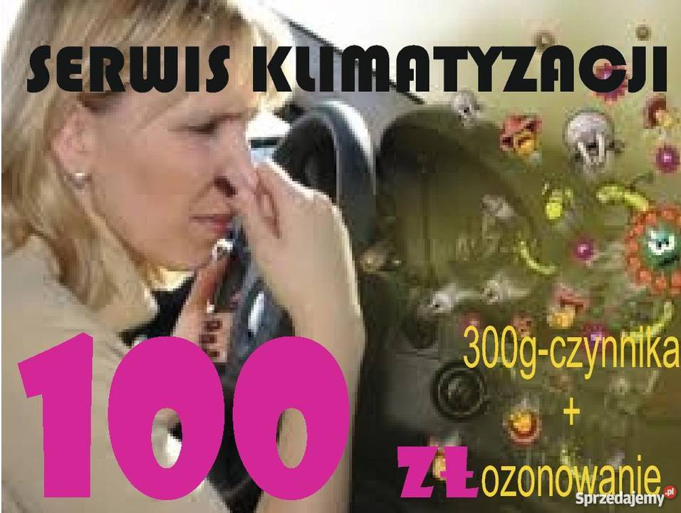 Alternatory rozruszniki naprawaserwis Pozostałe sprzedam