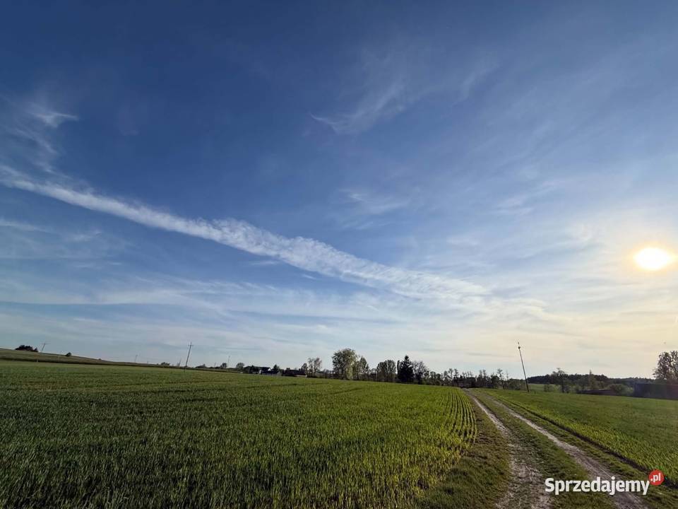 Gospodarstwo rolne z siedliskiem Rolnictwo sprzedam