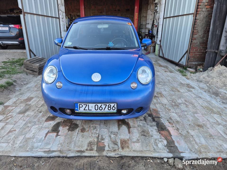 beetle Kościerzyn Wielki