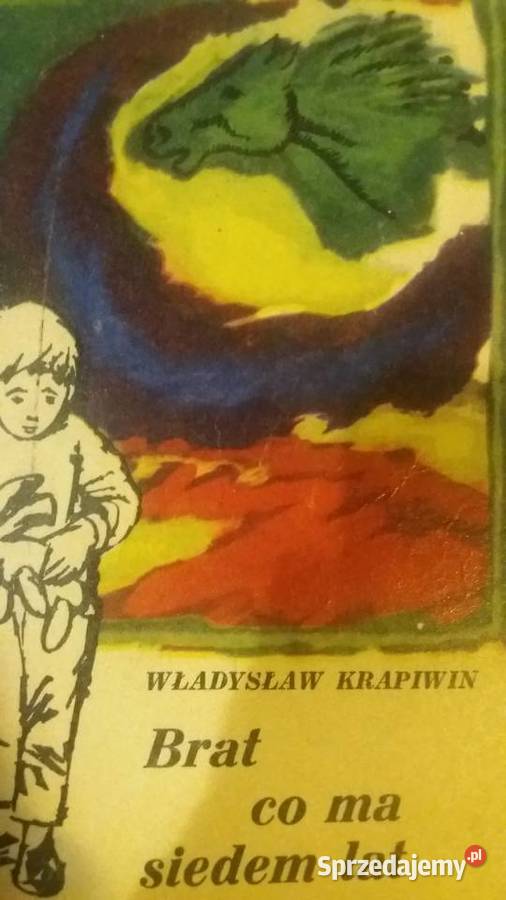 Brat co ma siedem lat książki dziecięce prezenty