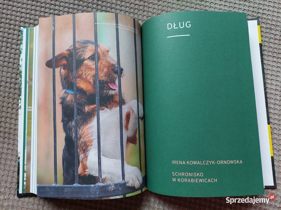 nowa Marcin Dorociński Na ratunek Kraków