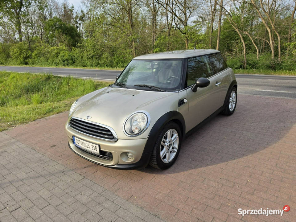 Mini ONE Mini One 16 benzynka z niskim wielkopolskie