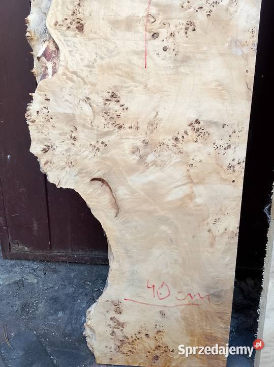 Topola Czeczot Pozostałe