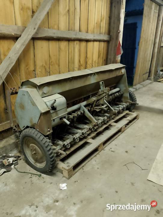 Siewnik poznaniak Ostrołęka