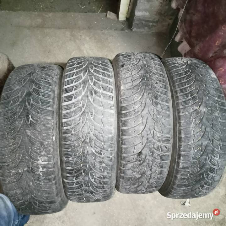 Opony Nokian 1856015 zima Występy