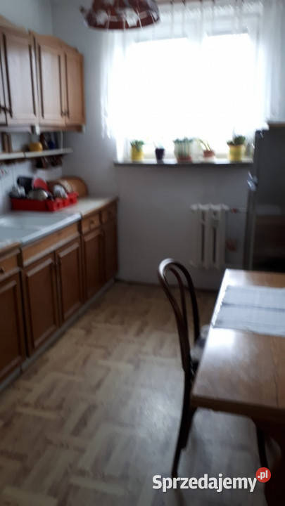 Sprzedaż mieszkania Elbląg sprzedam
