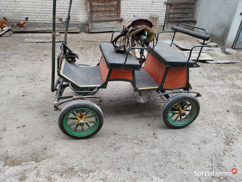 Bryczką jednego dwóch kucyków
