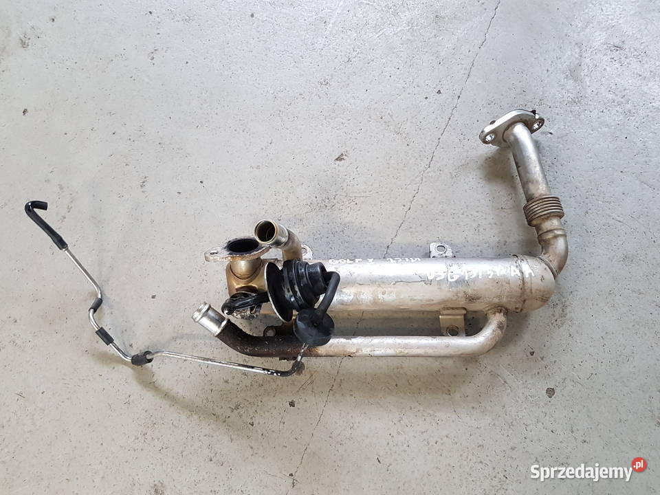VW GOLF V 19 TDI 20 TDI CHLODNICA SPALIN Turek sprzedam