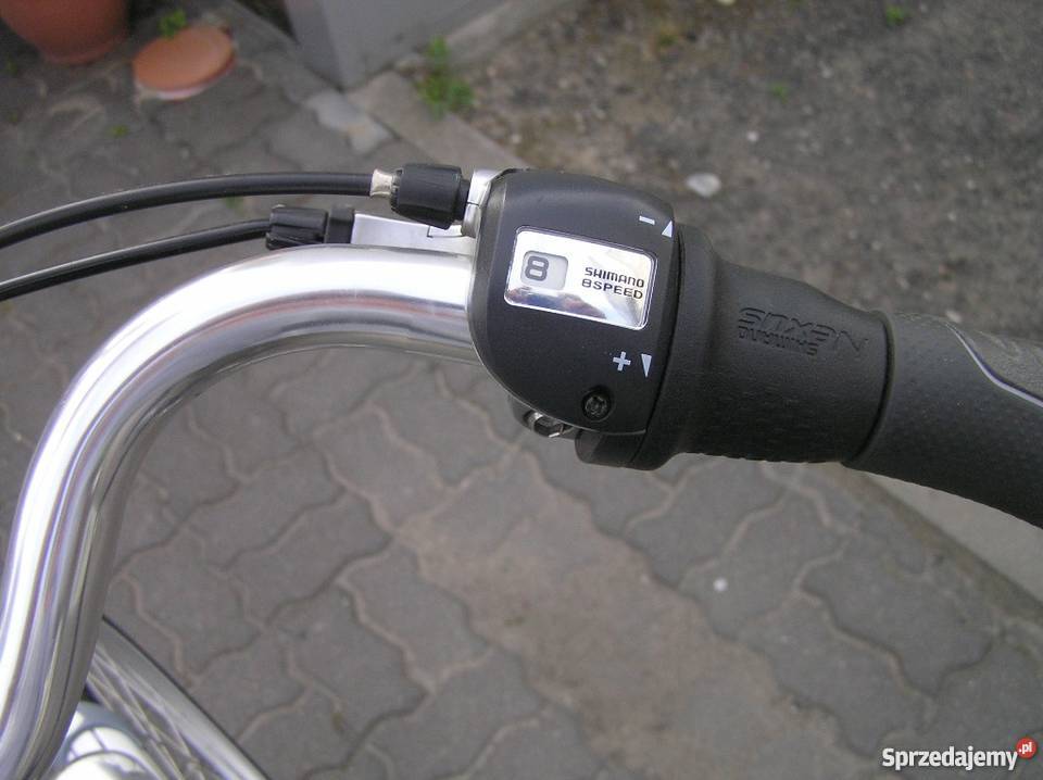 Rower elektryczny Gazelle Easyglider Kampinos