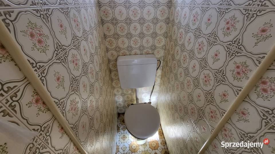 Domki domek holenderski domek angielski A169 Gołaszyn