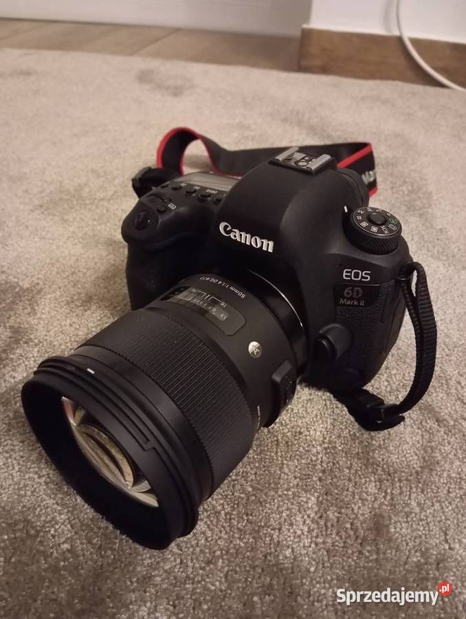 Canon 6D mark II obiektyw Sigma 50mm 14 art małopolskie Dąbrówki Breńskie