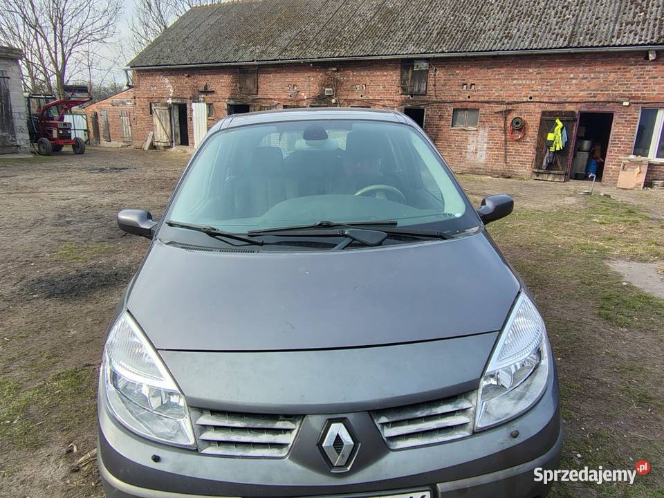 Renault scenic Trąbczyn Dworski