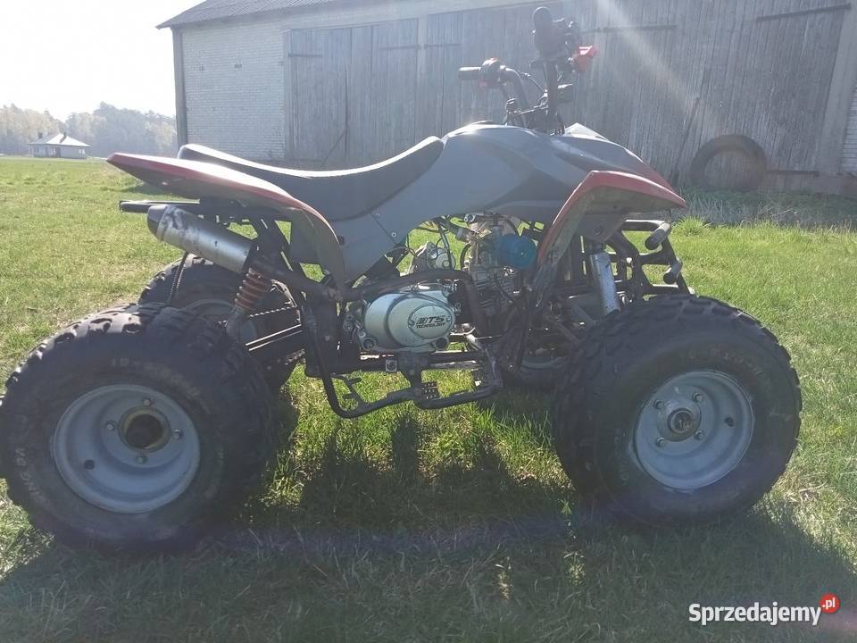 Bashan 110cc manual Paczuski Duże sprzedam