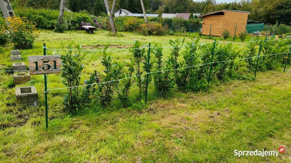 Działka ROD Mamy Węgorzewo obok portu KEJA